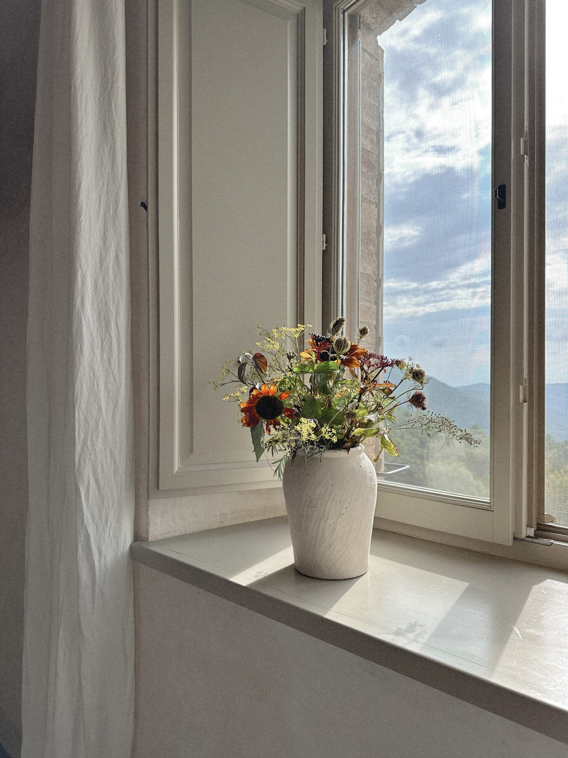 Flowers on a window ledge looking outside